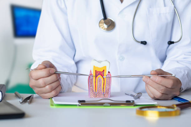 Best Emergency Gum Treatment in St James, MD